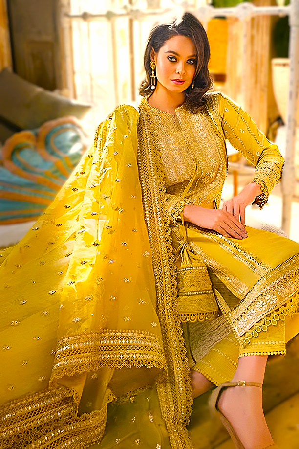 Linen 3PC Embroidered Suit with Organza Dupatta-583