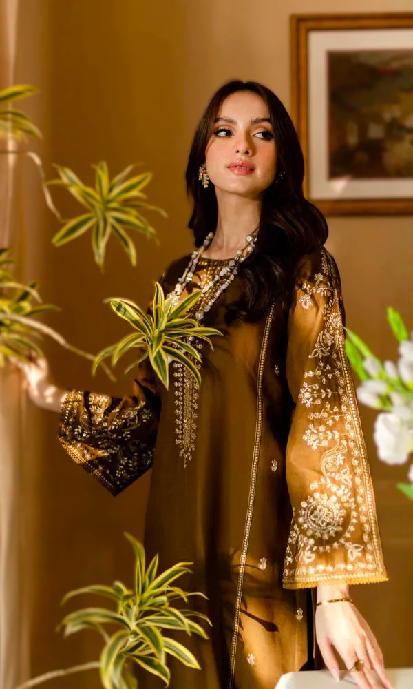 Batik Dhanak 2PC Embroidered-185